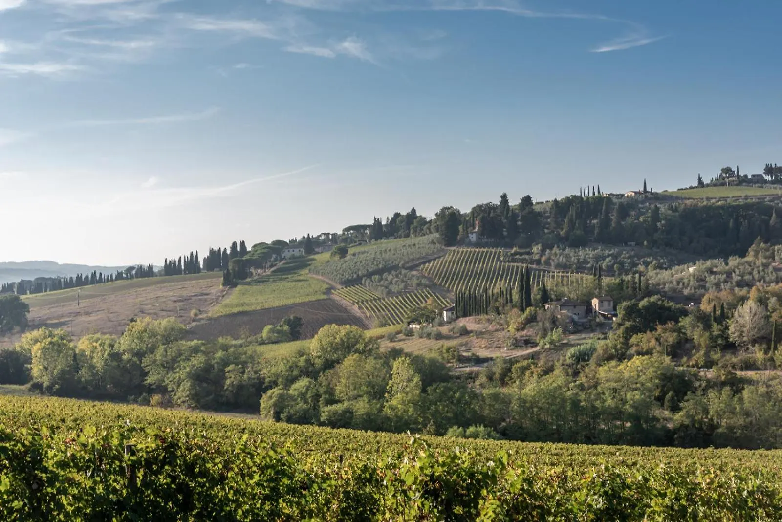 Il Pintello - La Lepre Villa San Casciano in Val di Pesa 0*,  Italy