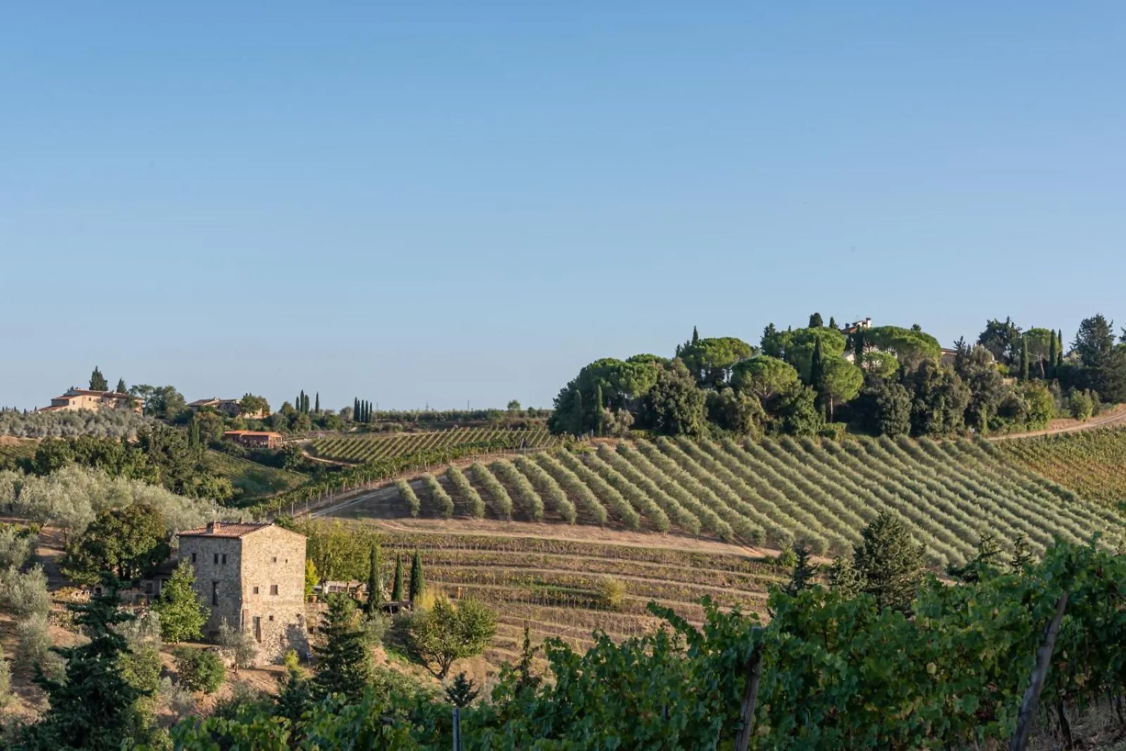 Farm stay Il Pintello - La Lepre Villa San Casciano in Val di Pesa Italy