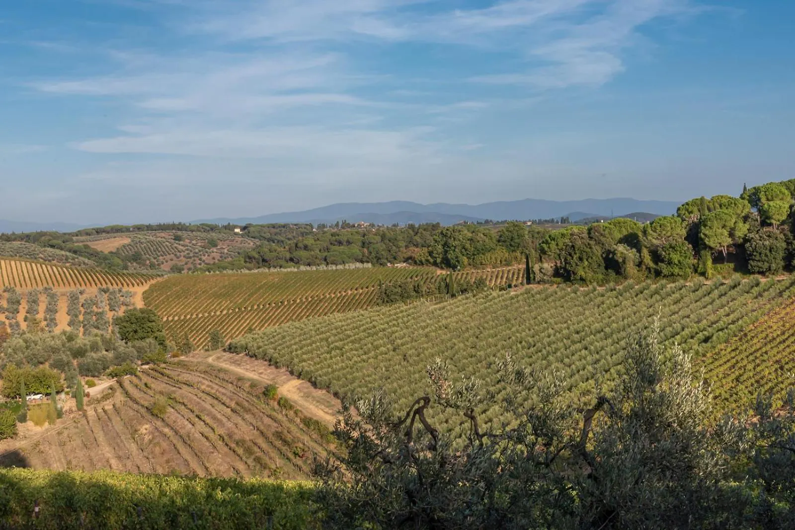 Il Pintello - La Lepre Villa San Casciano in Val di Pesa Farm stay